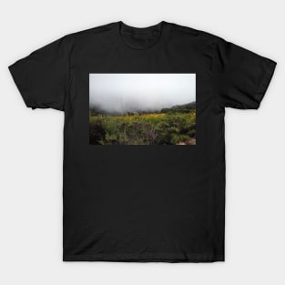 Foggy Morning Nature Scene in San Deigo T-Shirt